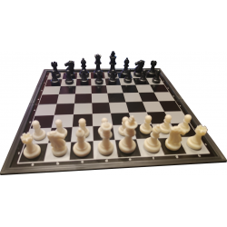 Reiseschach (magnetisch)